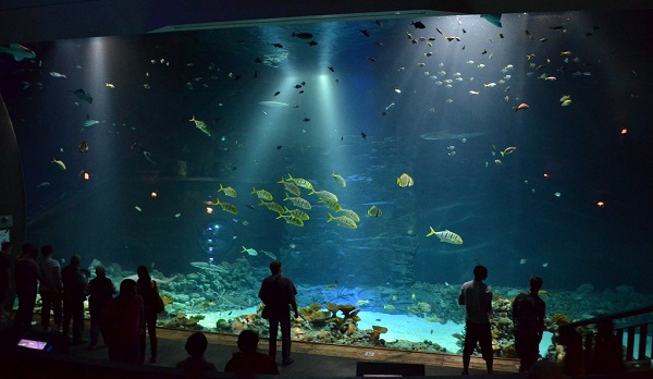 Tropen Aquarium